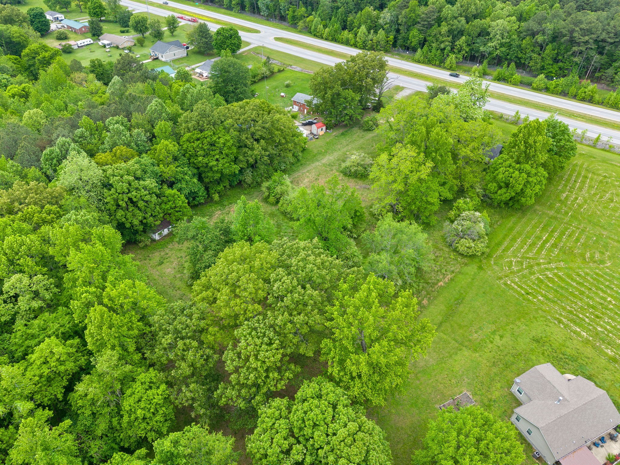 4888 Dover Road Indian Mound, TN 37079 - Photo 8 of 25 a view of a yard with plants and large trees