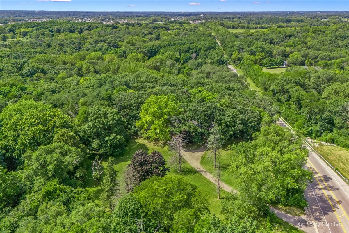 144 Algonquin Road Barrington Hills, IL 60010 - Photo 32 of 53 a view of a lush green forest