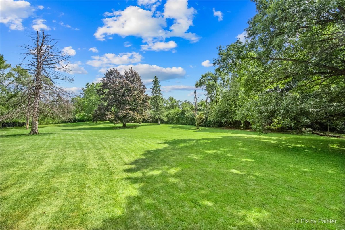 144 Algonquin Road Barrington Hills, IL 60010 - Photo 7 of 53 a view of a field with grass and a tree