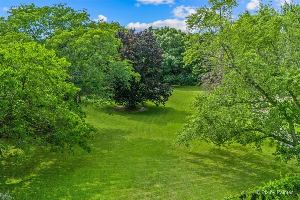 144 Algonquin Road Barrington Hills, IL 60010 - Photo 8 of 53