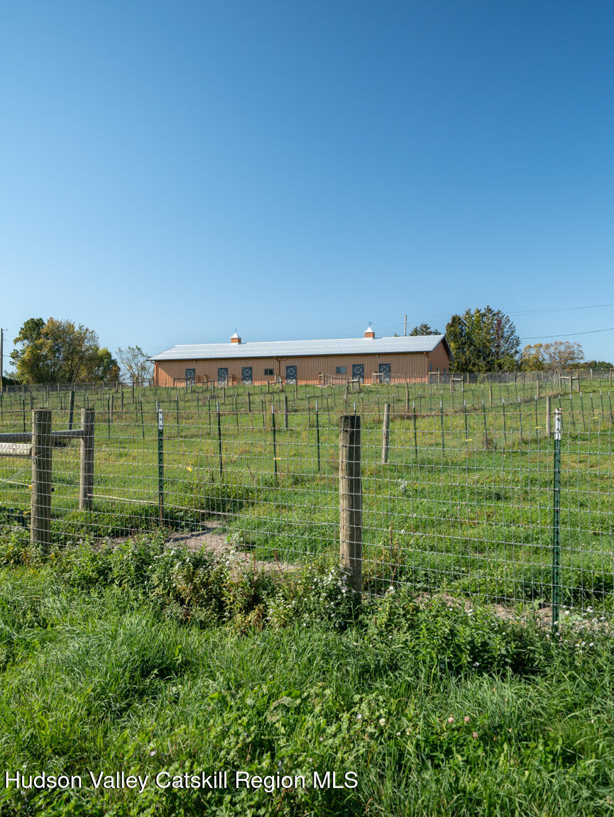 282 Ridge Road Stuyvesant, NY 12156 - Photo 59 of 65 a view of a green field with trees in the background