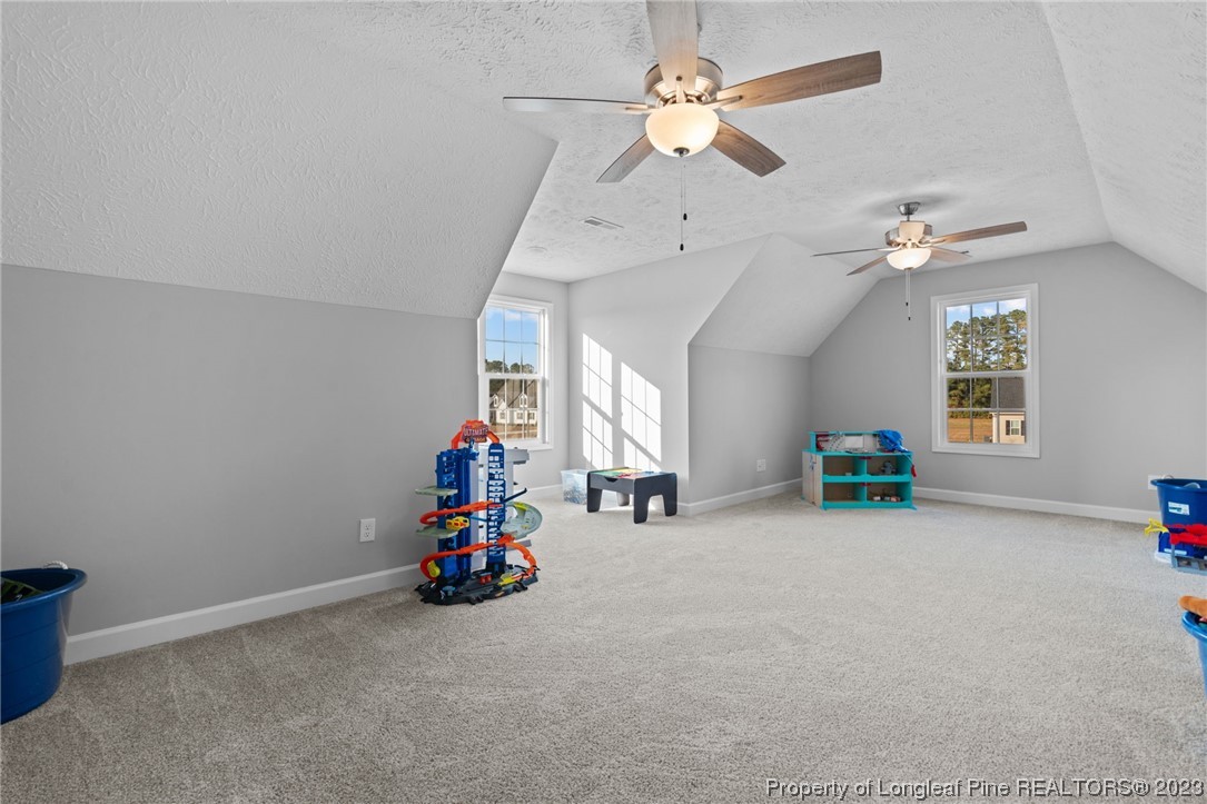 5654 Toby Pl Road Stedman, NC 28391 - Photo 28 of 42 a view of empty room with windows and ceiling fan