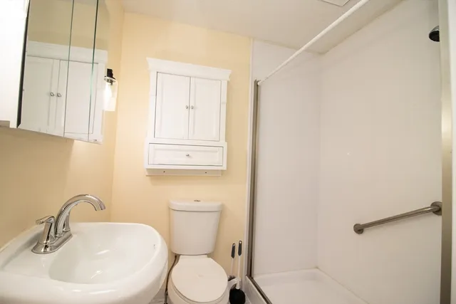 a bathroom with a sink a toilet and shower