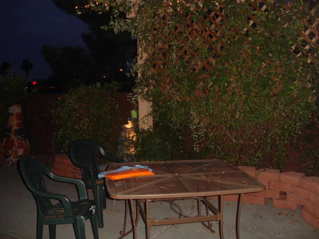 2649 West Hearn Road Phoenix, AZ 85023 - Photo 14 of 17 Rear Yard
