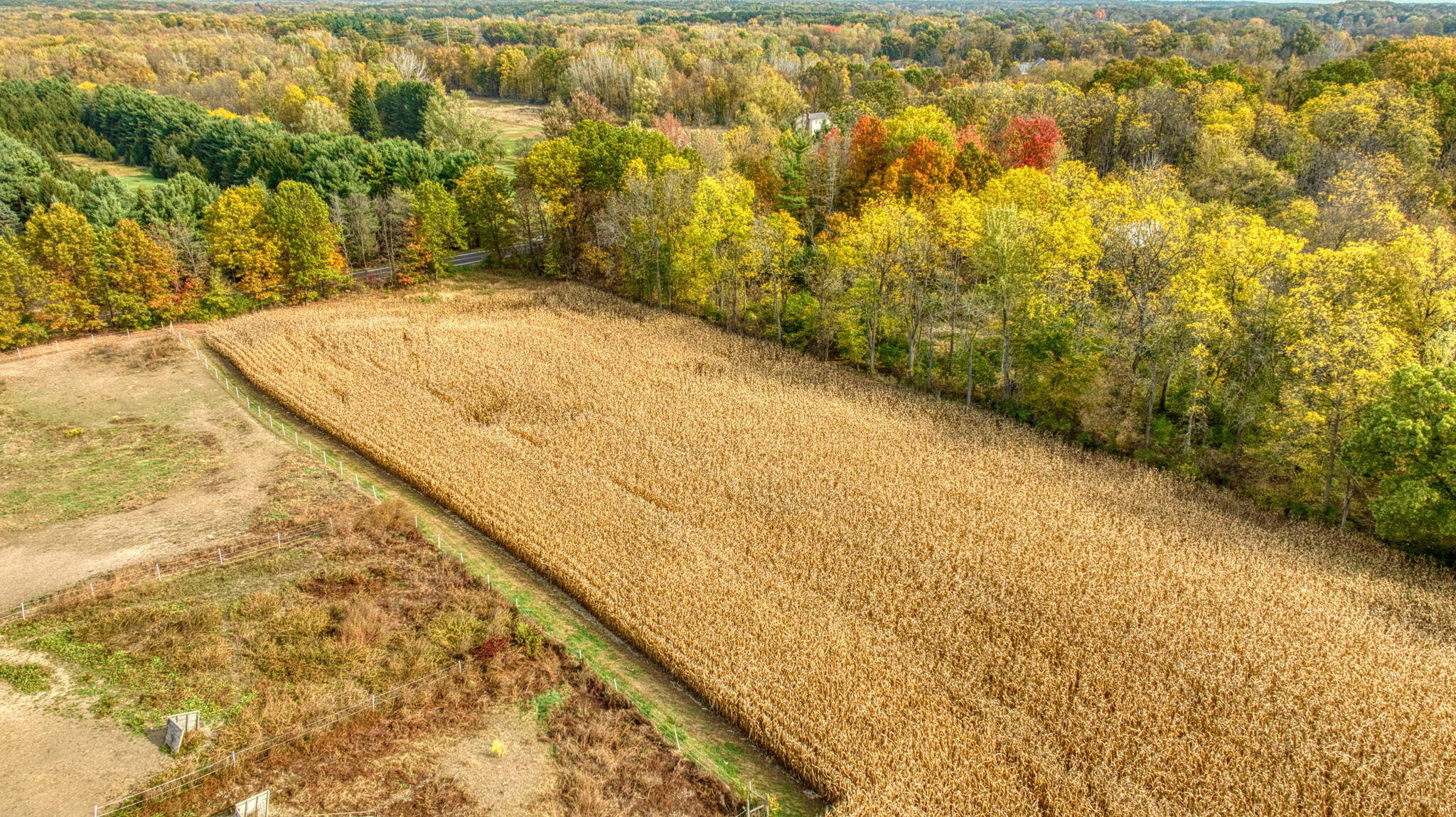 V/l County Farm Road Parma, MI 49269 - Photo 4 of 16 13-web-or-mls-DJI_0967_HDR