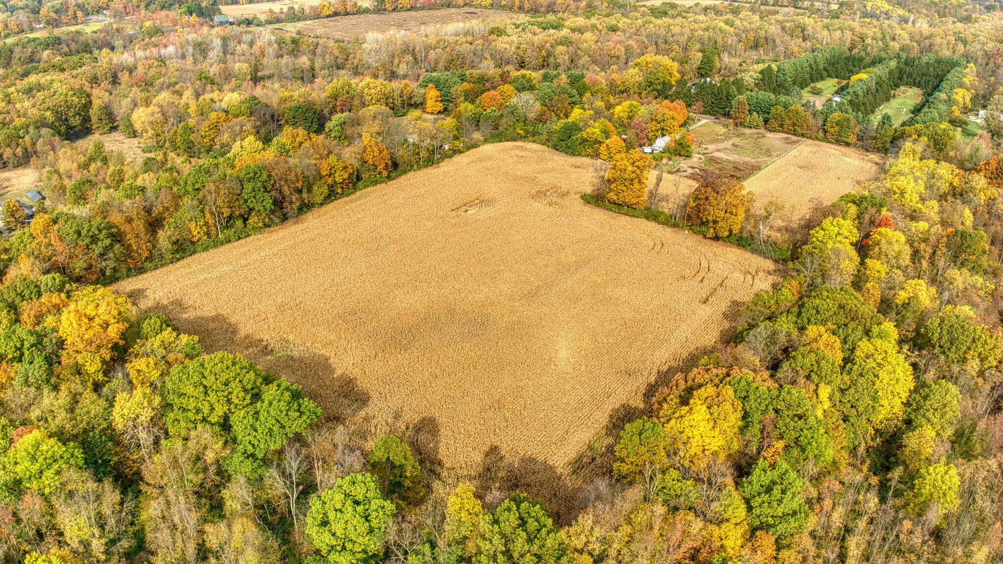 V/l County Farm Road Parma, MI 49269 - Photo 6 of 16 11-web-or-mls-DJI_0961_HDR