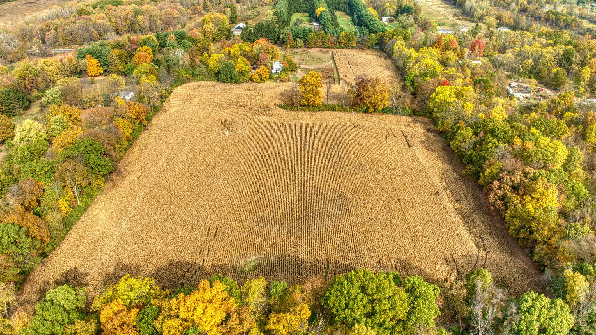 V/l County Farm Road Parma, MI 49269 - Photo 7 of 16 10-web-or-mls-DJI_0958_HDR