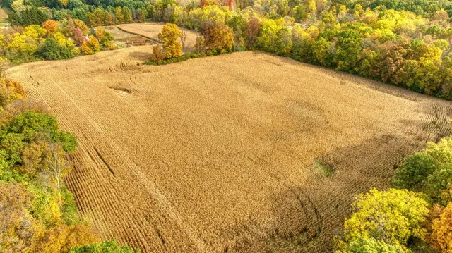 $115,000 | V/l County Farm Road, Parma, MI 49269