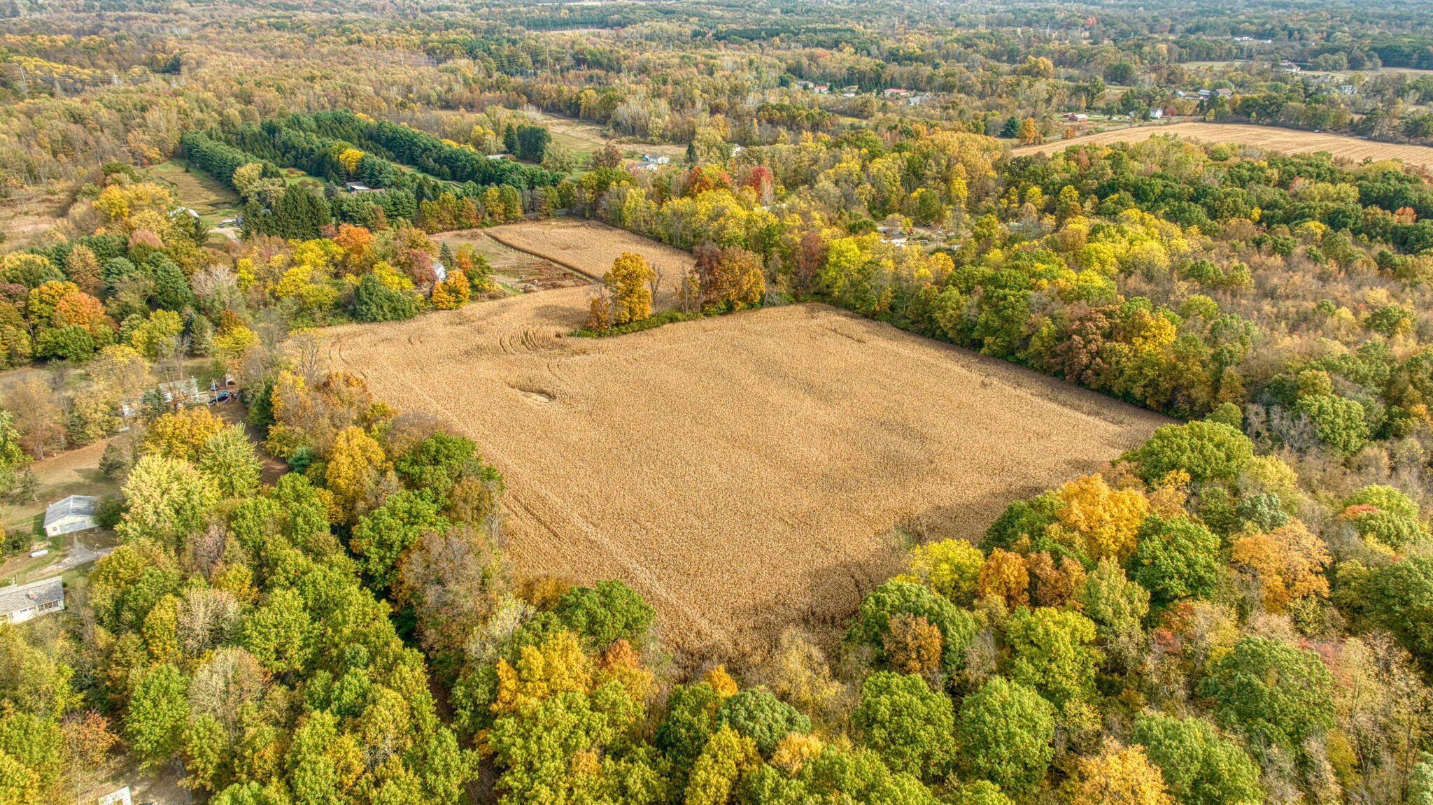V/l County Farm Road Parma, MI 49269 - Photo 9 of 16 8-web-or-mls-DJI_0952_HDR