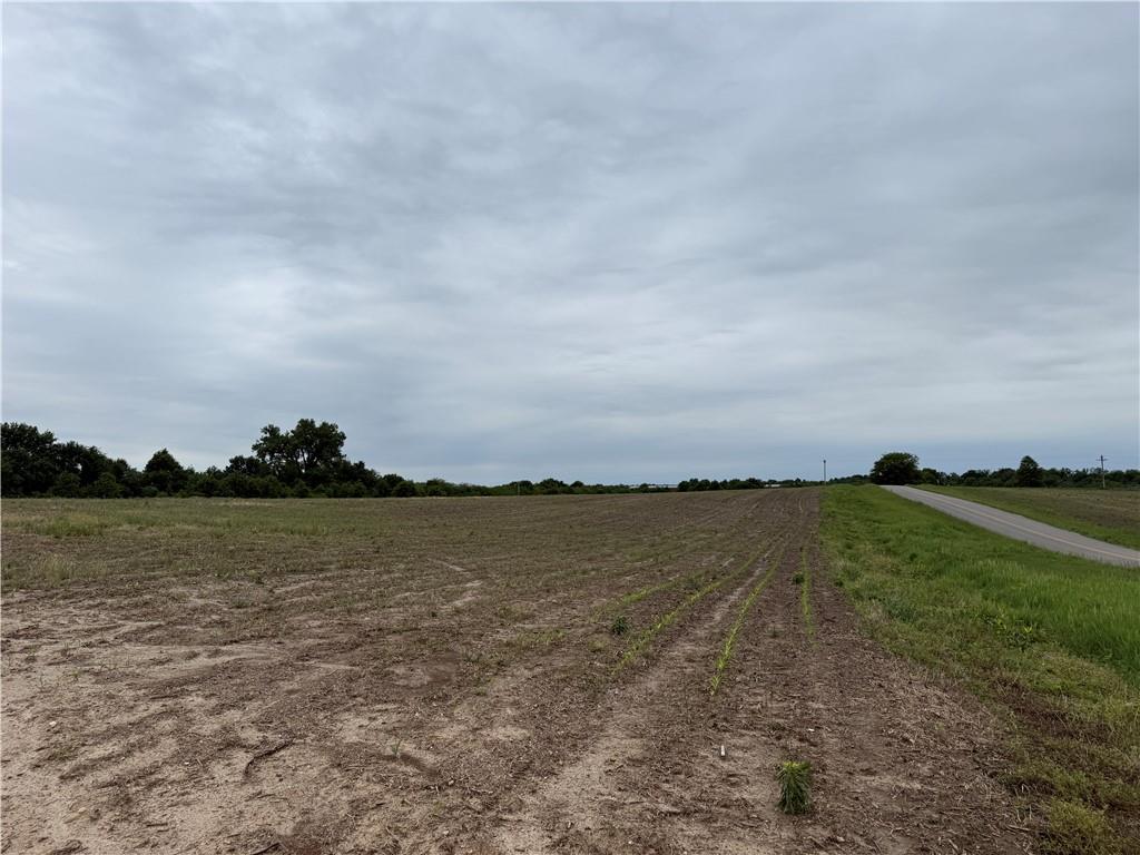 Cotton Road Purdin, MO 64674 - Photo 4 of 14