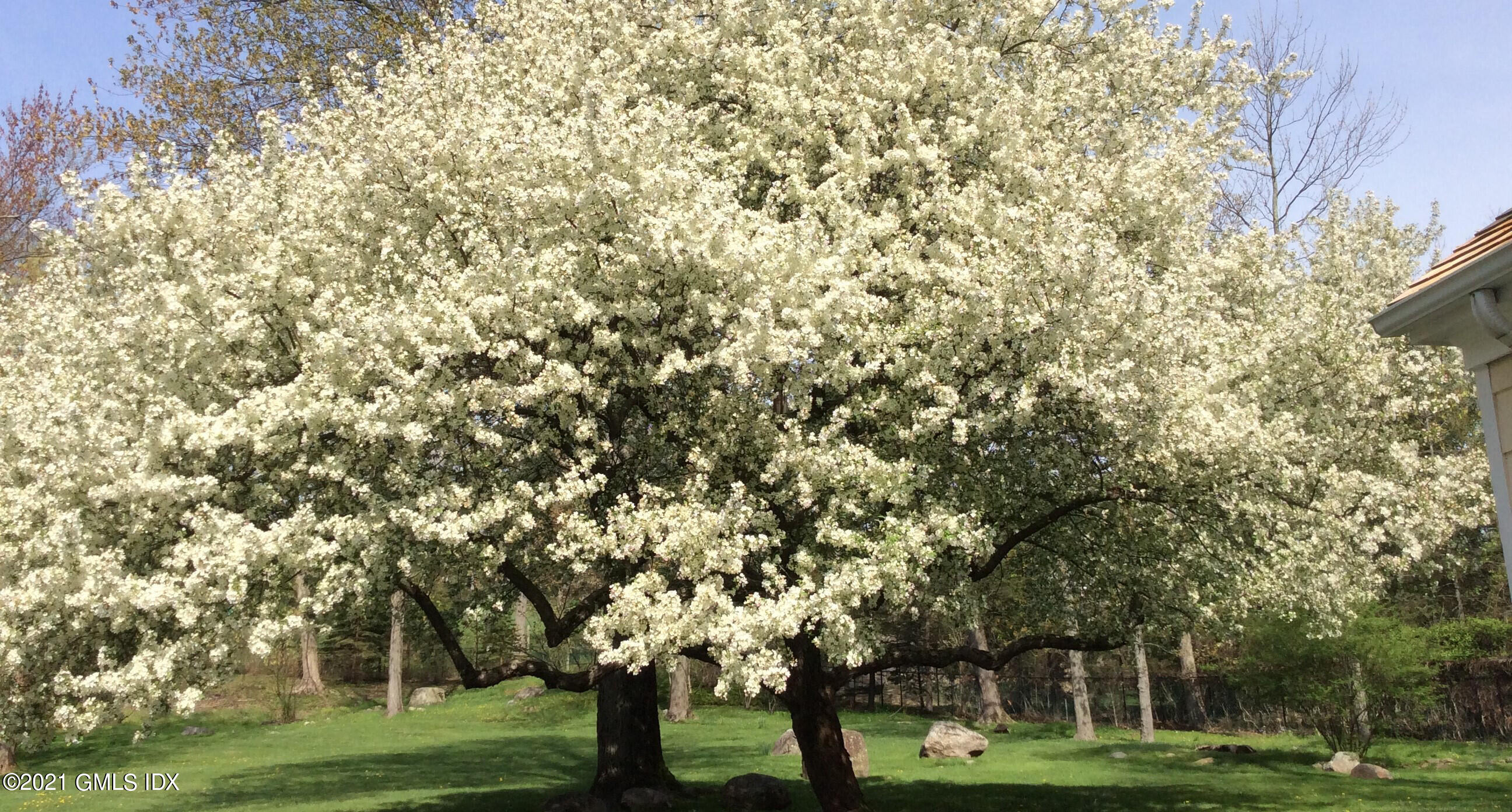 99 Hunting Ridge Road Greenwich, CT 06831 - Photo 22 of 23 a view of a trees in a park