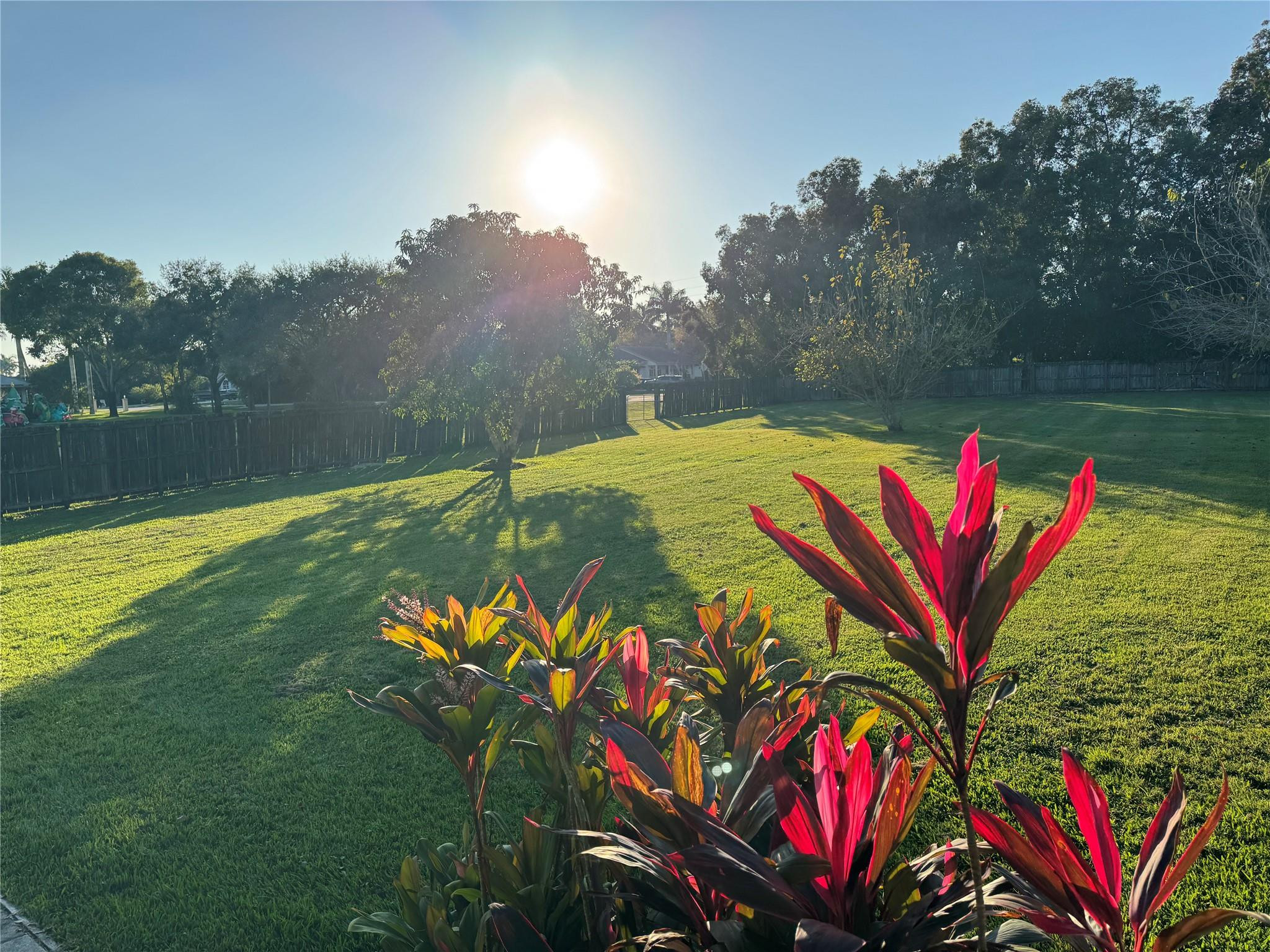 5221 Southwest 201st Terrace Southwest Ranches, FL 33332 - Photo 12 of 15