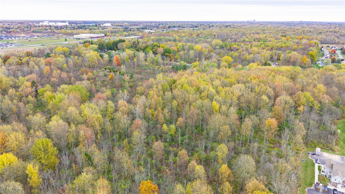 0 Whittier Road Rochester, NY 14624 - Photo 9 of 10