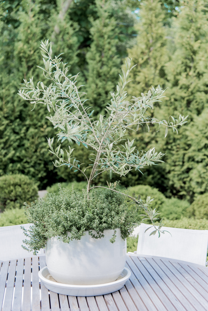 887 Private Road Winnetka, IL 60093 - Photo 32 of 64