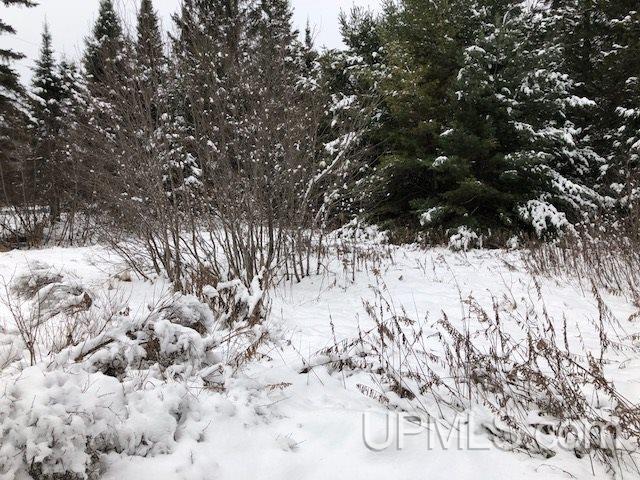 Tbd Angman Road Calumet, MI 49945 - Photo 21 of 21