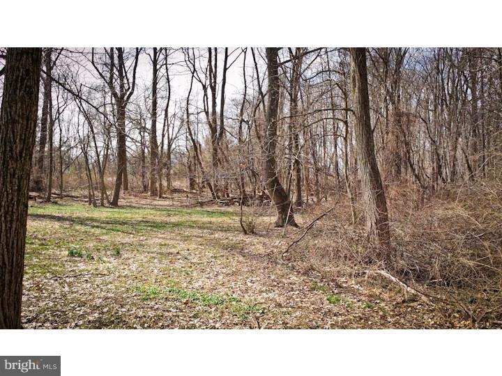 679 West Rose Tree Road Media, PA 19063 - Photo 8 of 10 Gallery Image 8