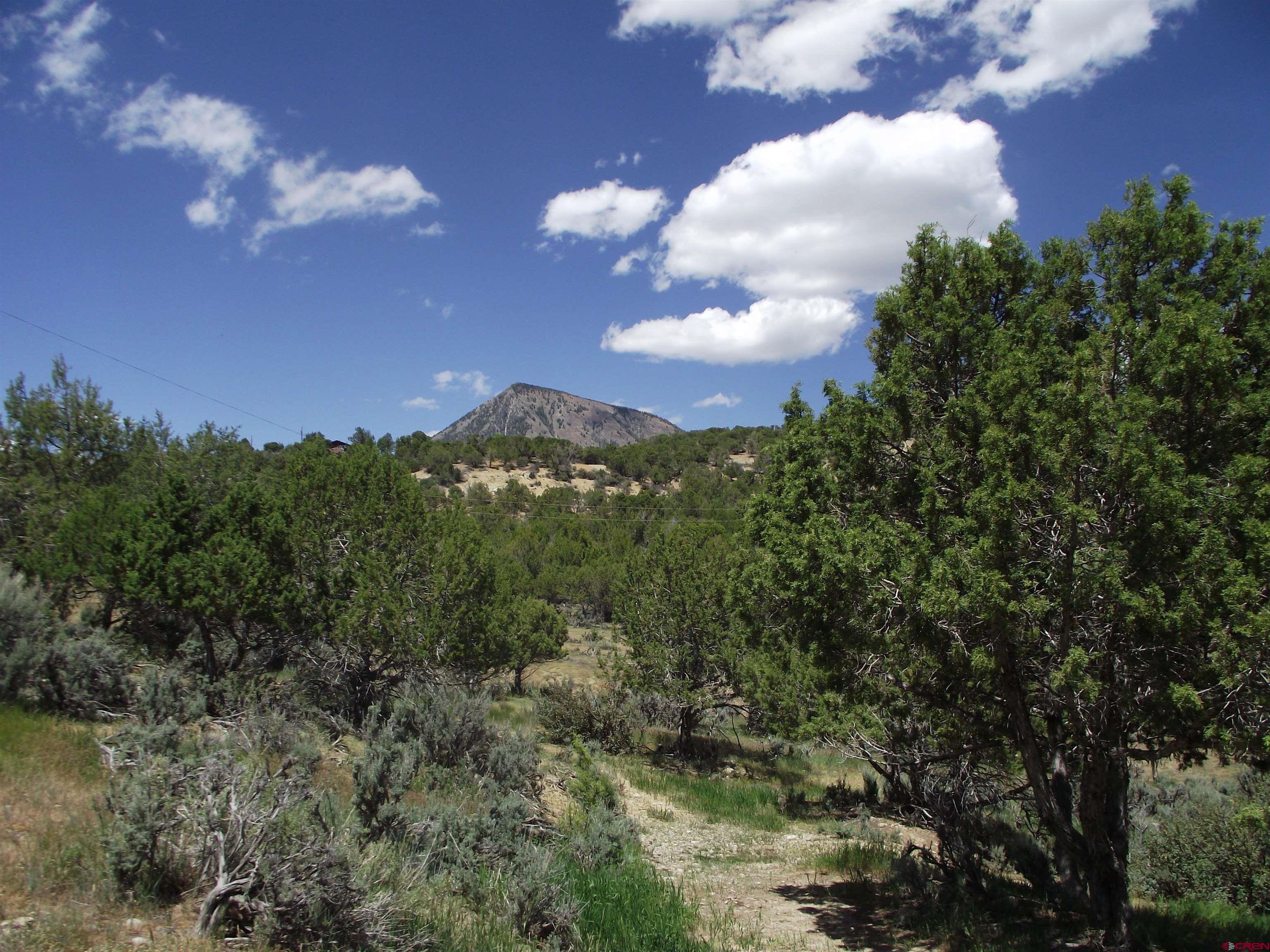42996 Needle Rock Road Crawford, CO 81415 - Photo 16 of 45