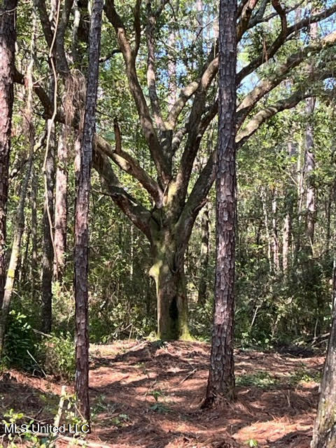 Goff Farm Road Moss Point, MS 39562 - Photo 1 of 13 lot