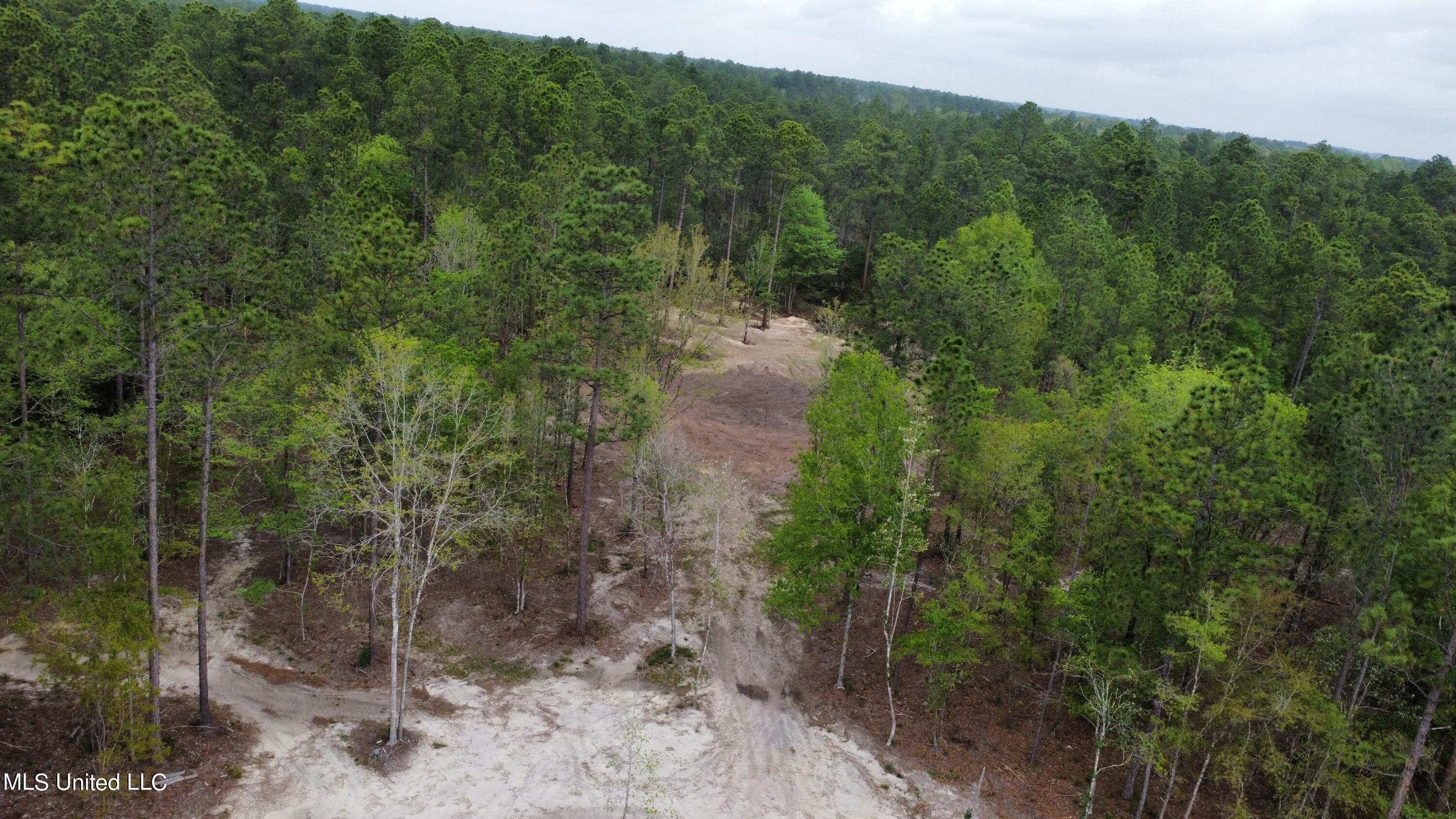 Goff Farm Road Moss Point, MS 39562 - Photo 11 of 13 dji_fly_20240402_103042_79_1712071852591