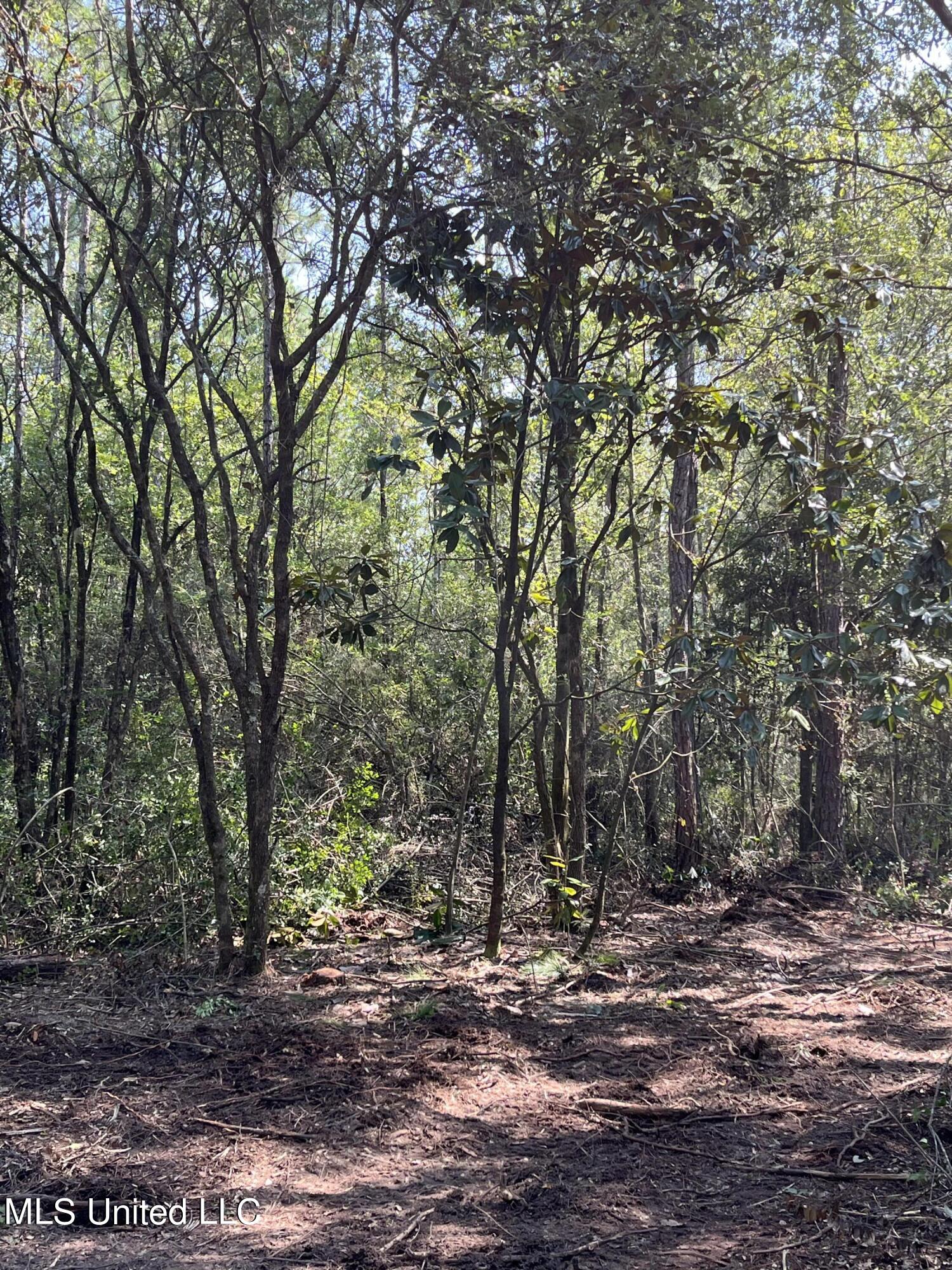 Goff Farm Road Moss Point, MS 39562 - Photo 2 of 13 DC04123F-75D9-4B61-AF77-AA18F38381D0