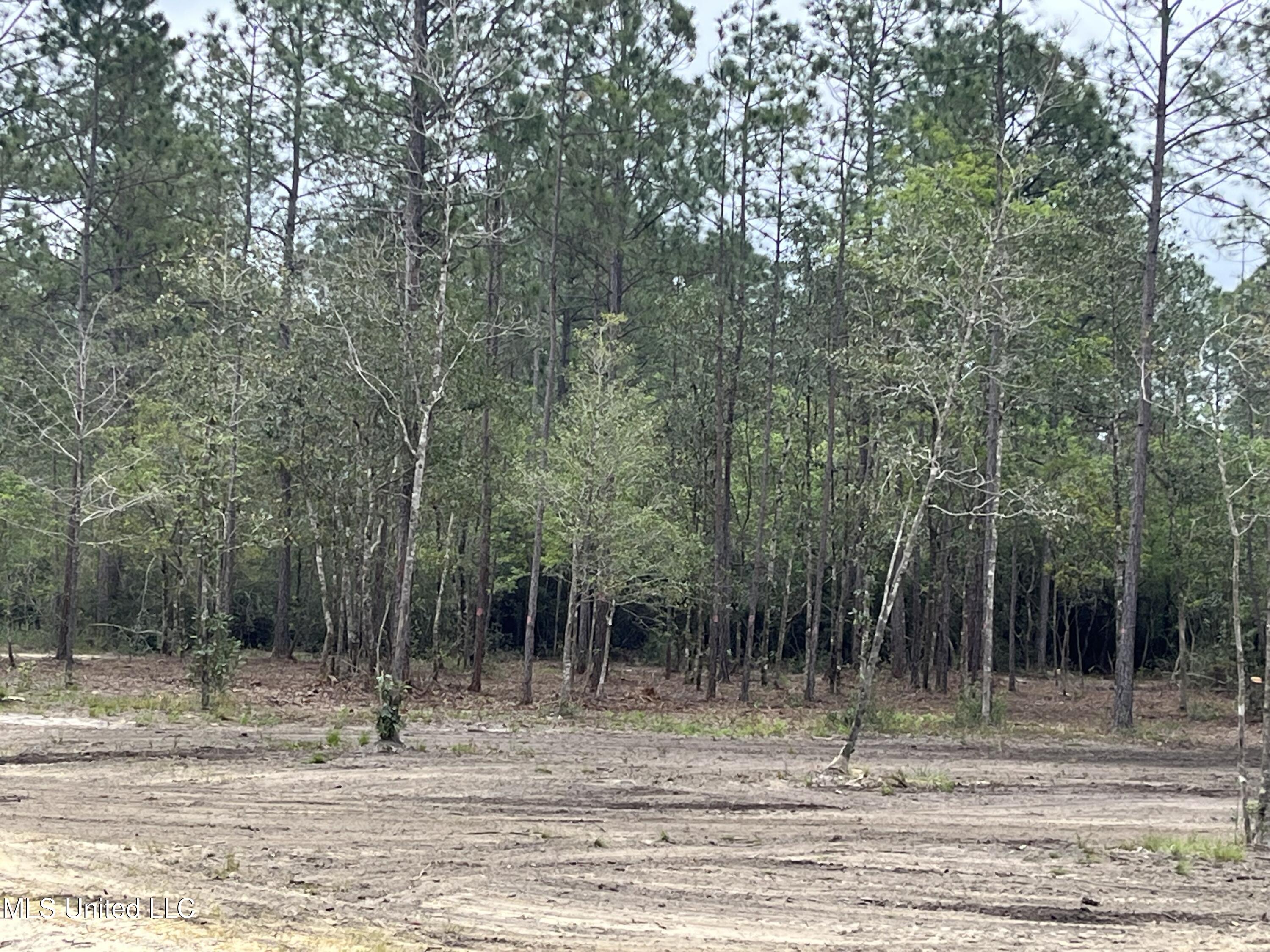 Goff Farm Road Moss Point, MS 39562 - Photo 7 of 13 IMG_4732