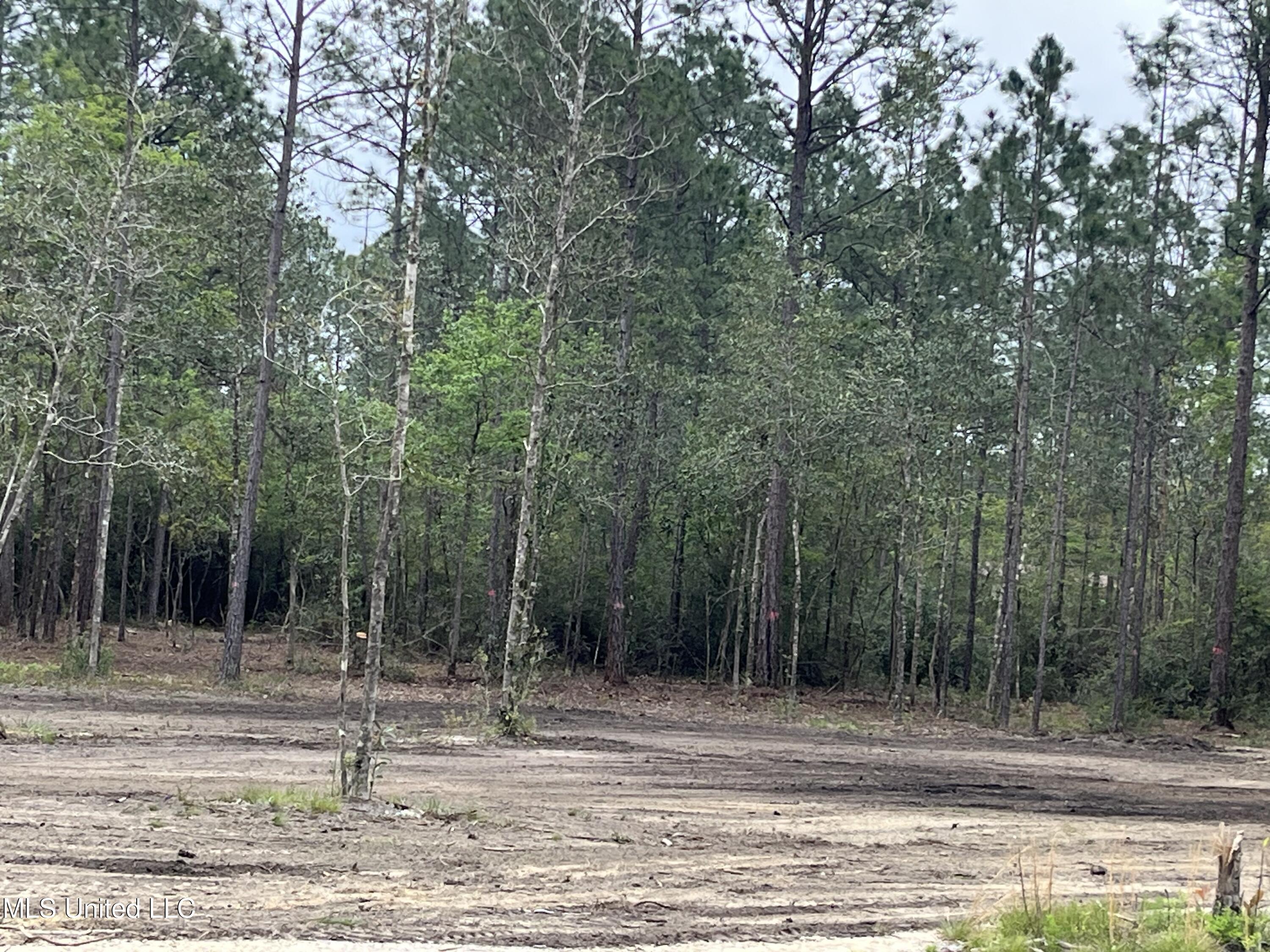 Goff Farm Road Moss Point, MS 39562 - Photo 8 of 13 IMG_4731