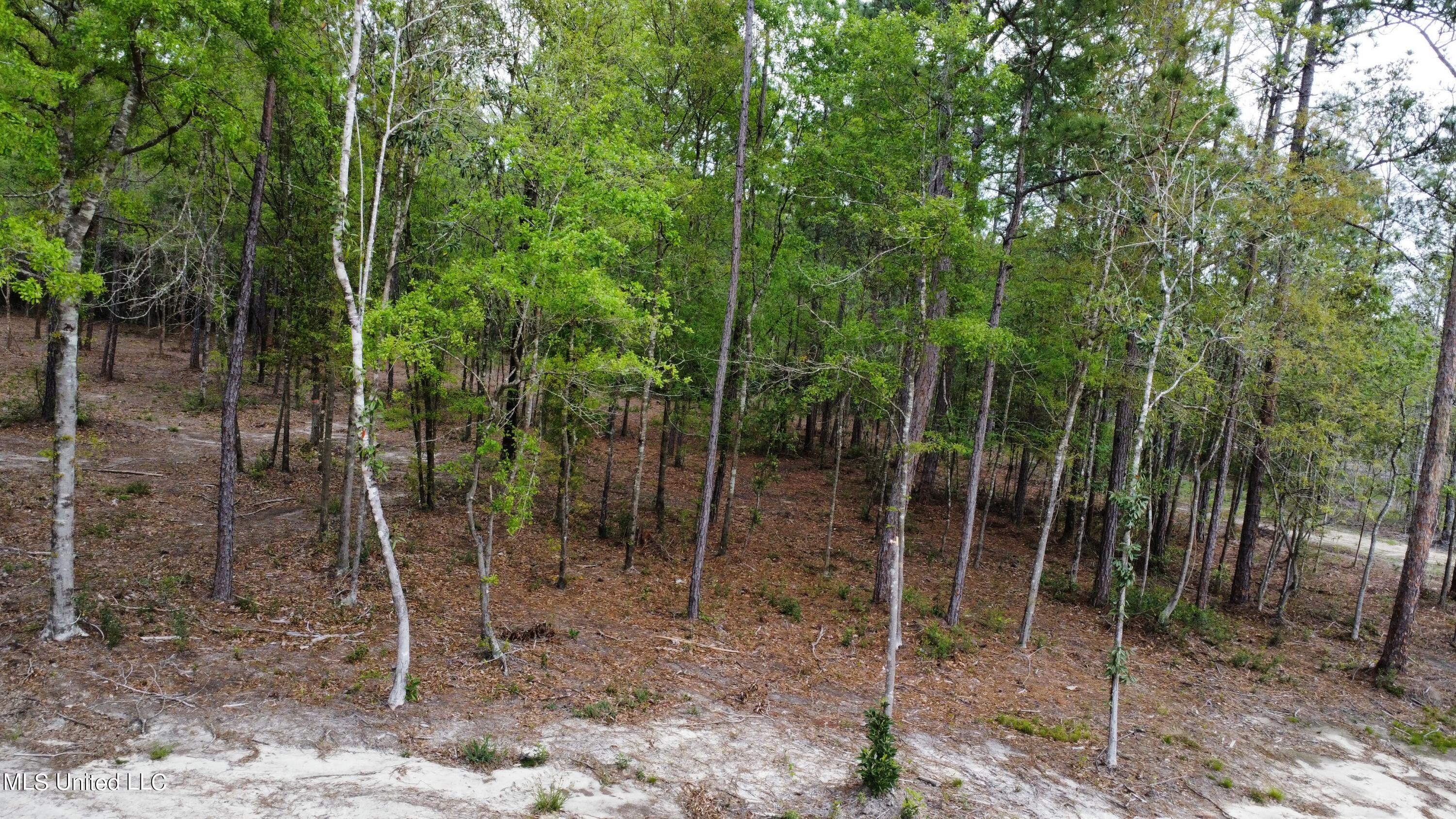 Goff Farm Road Moss Point, MS 39562 - Photo 9 of 13 dji_fly_20240402_103140_82_1712073096097