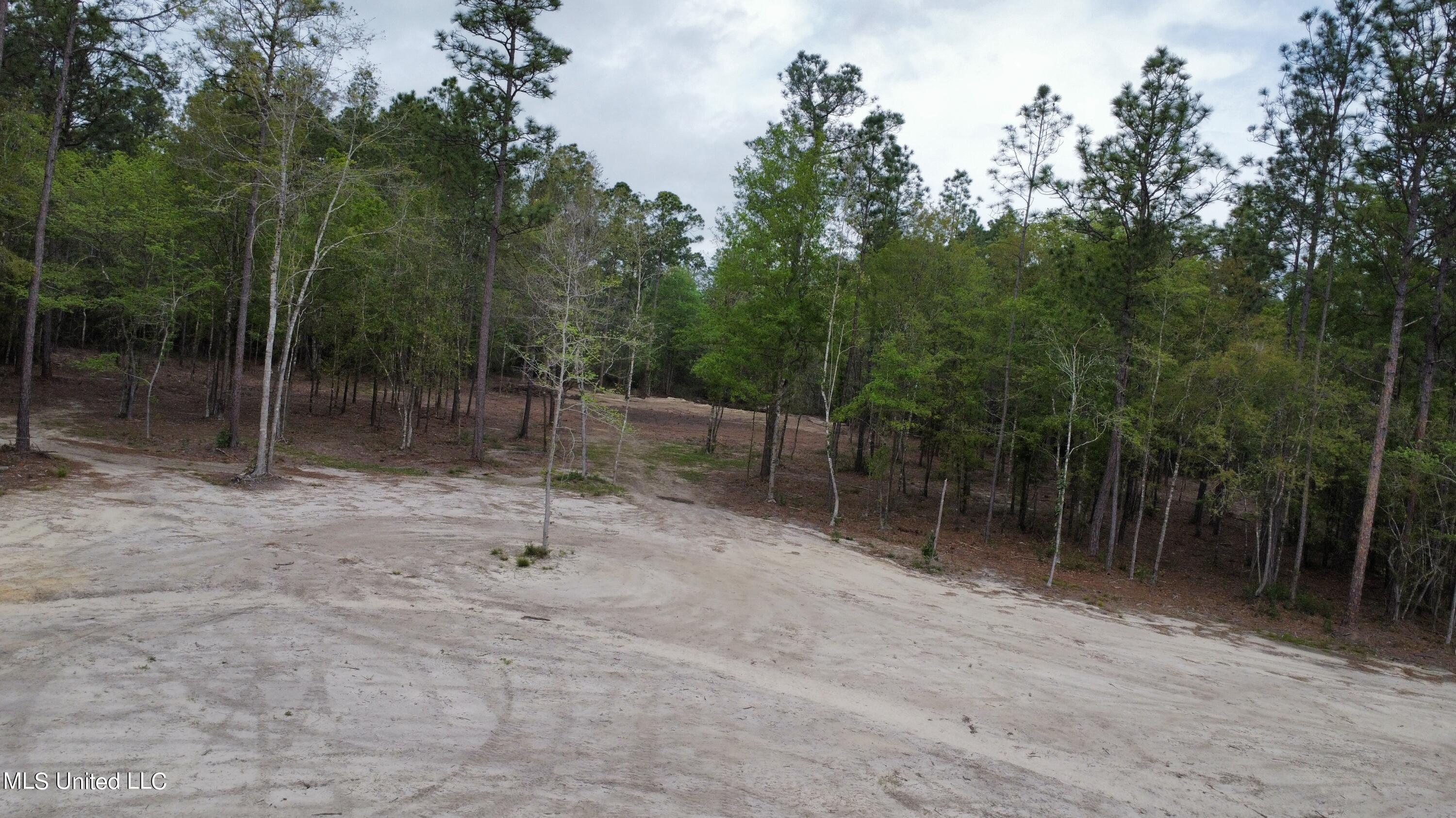 Goff Farm Road Moss Point, MS 39562 - Photo 10 of 13 dji_fly_20240402_103100_80_1712071867296