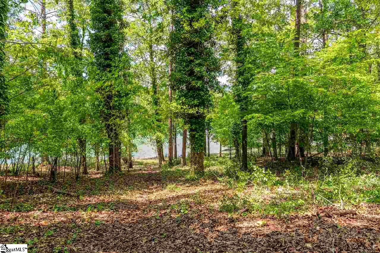 419 Brown Bottom Road Central, SC 29630 - Photo 3 of 35