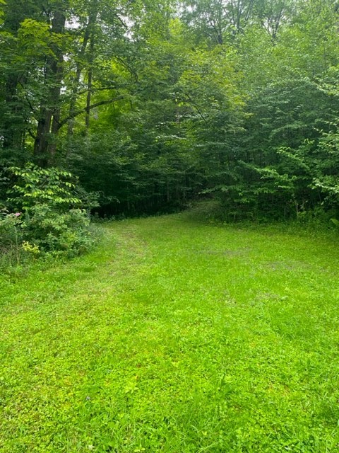 174 Lower Fairfield Road Newark Valley, NY 13811 - Photo 18 of 19 Gallery Image 18