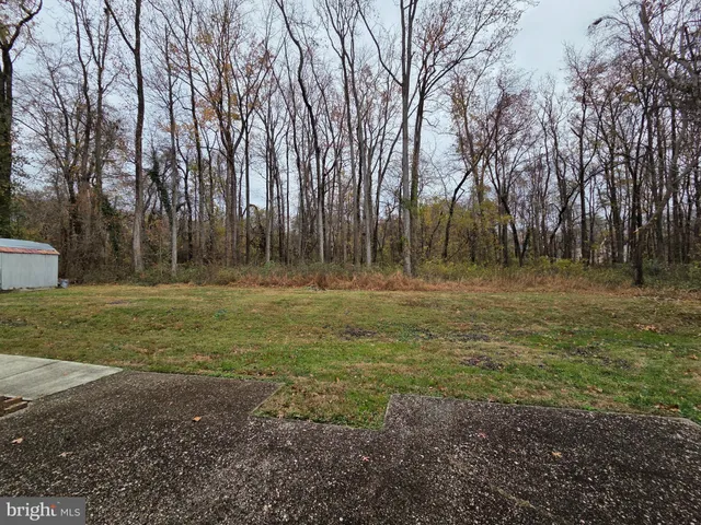 a backyard of field with trees