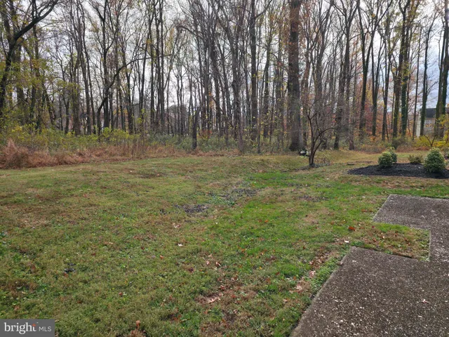 a view of outdoor space with trees