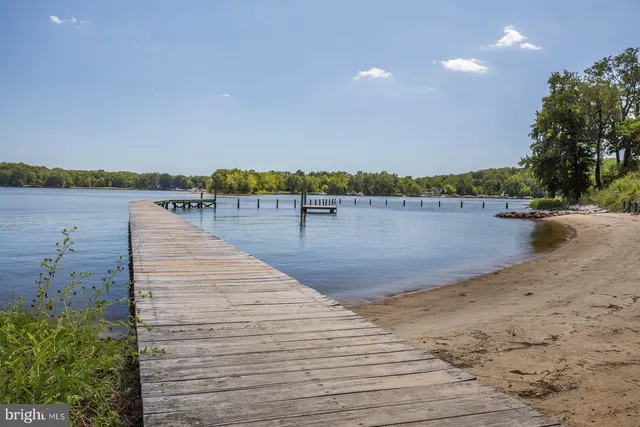 a view of a field with trees in the background