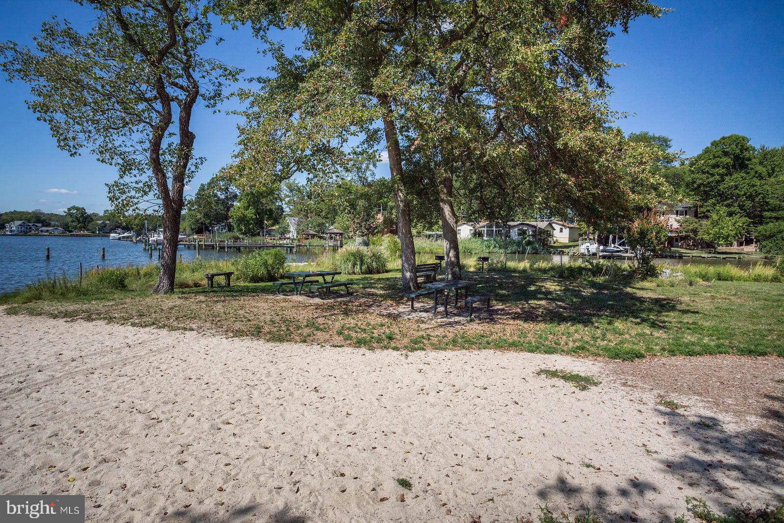 404 Warwick Place Edgewater, MD 21037 - Photo 52 of 76 a view of a yard with a tree