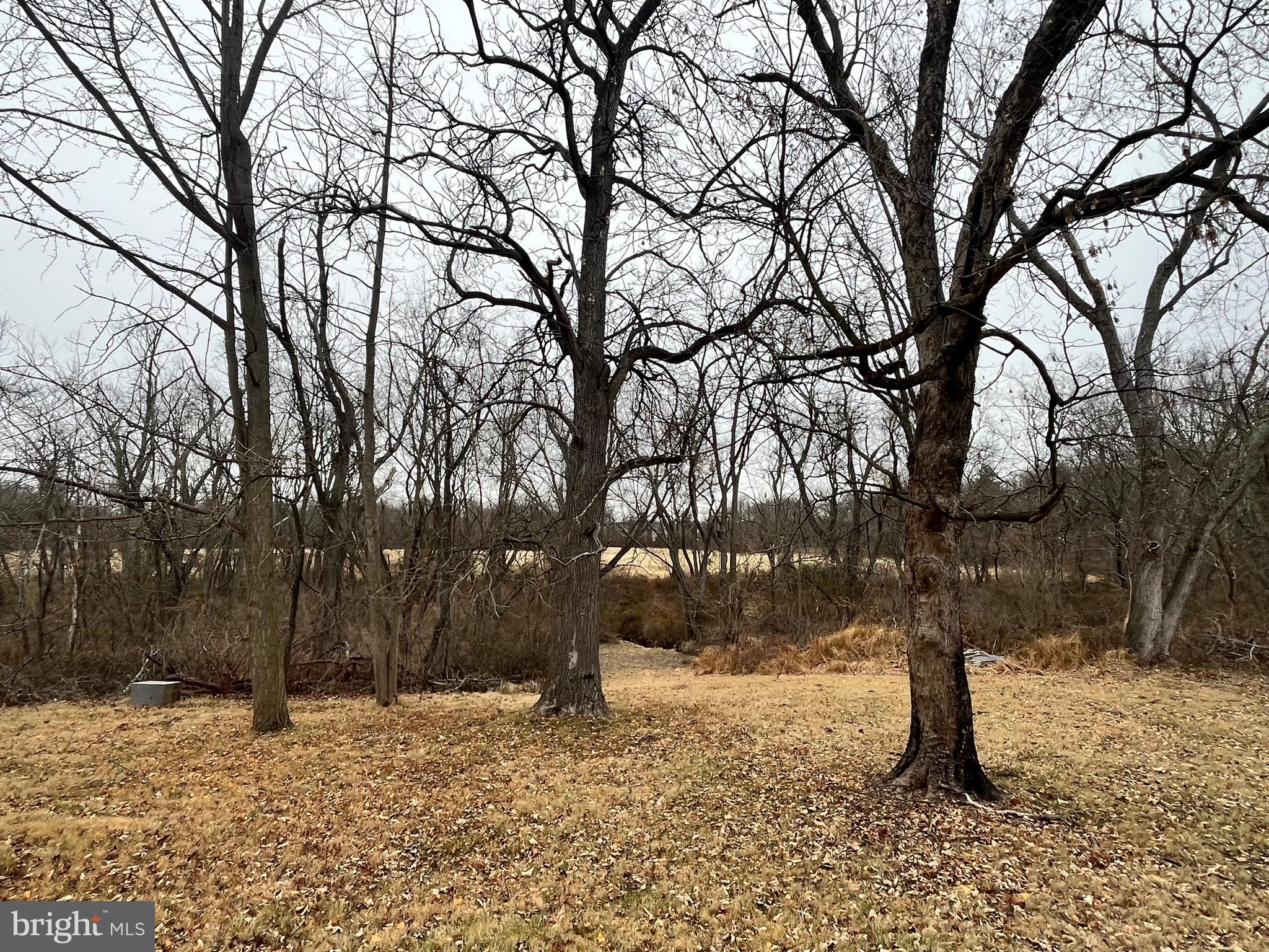 4595 County Line Road Line Lexington, PA 18914 - Photo 8 of 12 a street view covered with snow
