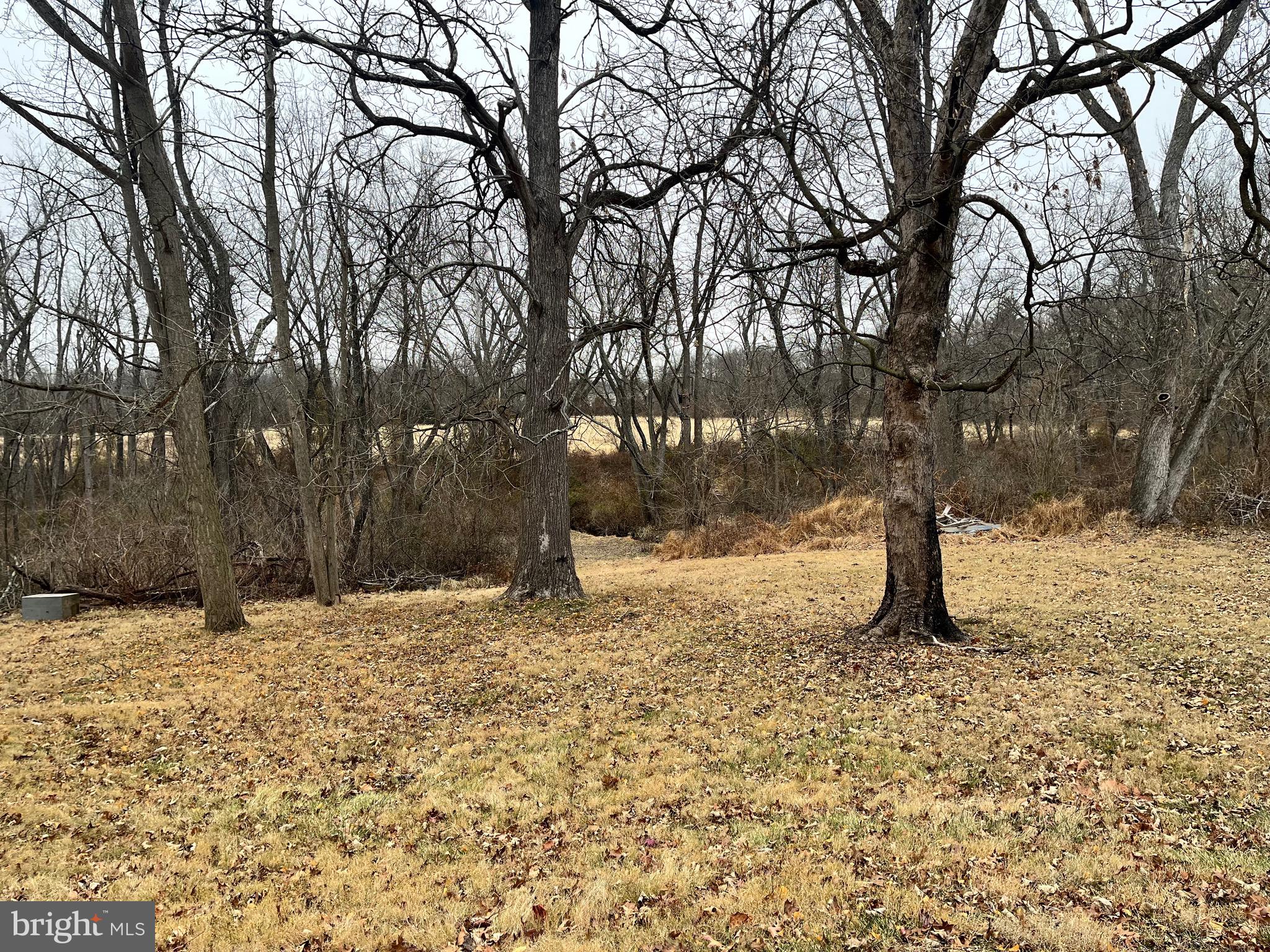 4595 County Line Road Line Lexington, PA 18914 - Photo 10 of 12 a street view covered with snow
