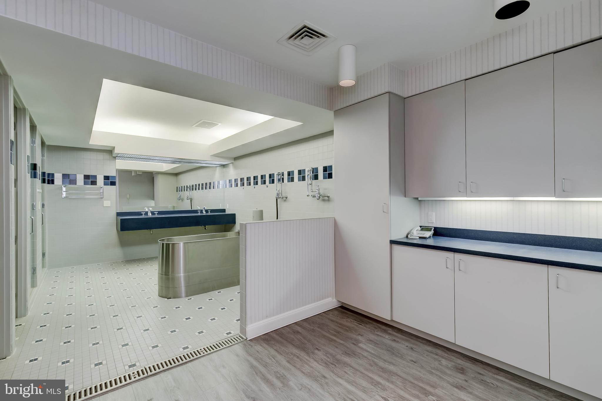 13301 Dover Road Reisterstown, MD 21136 - Photo 59 of 76 Hydrotherapy/Shower Room