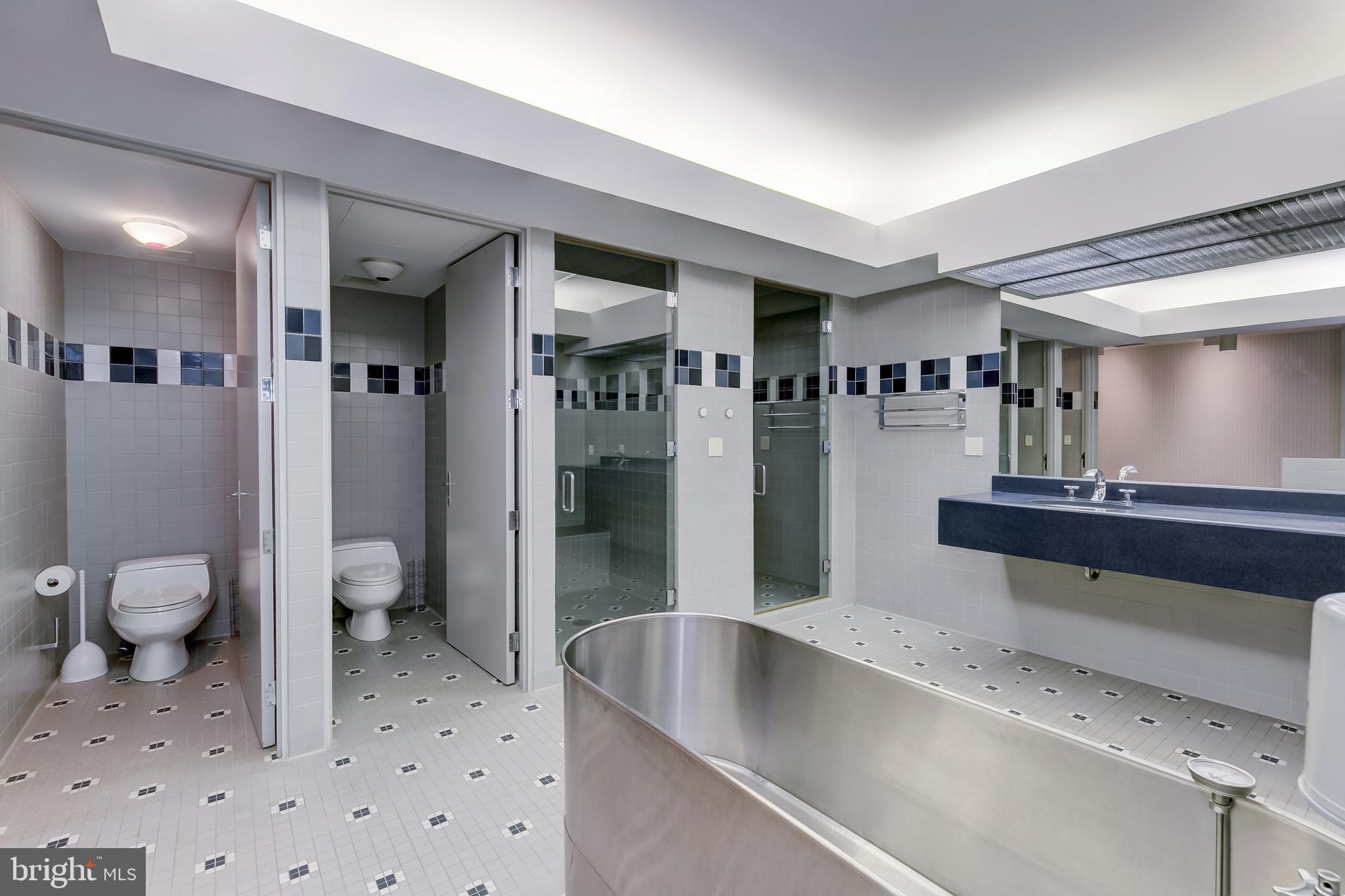 13301 Dover Road Reisterstown, MD 21136 - Photo 60 of 76 Hydrotherapy/Shower Room