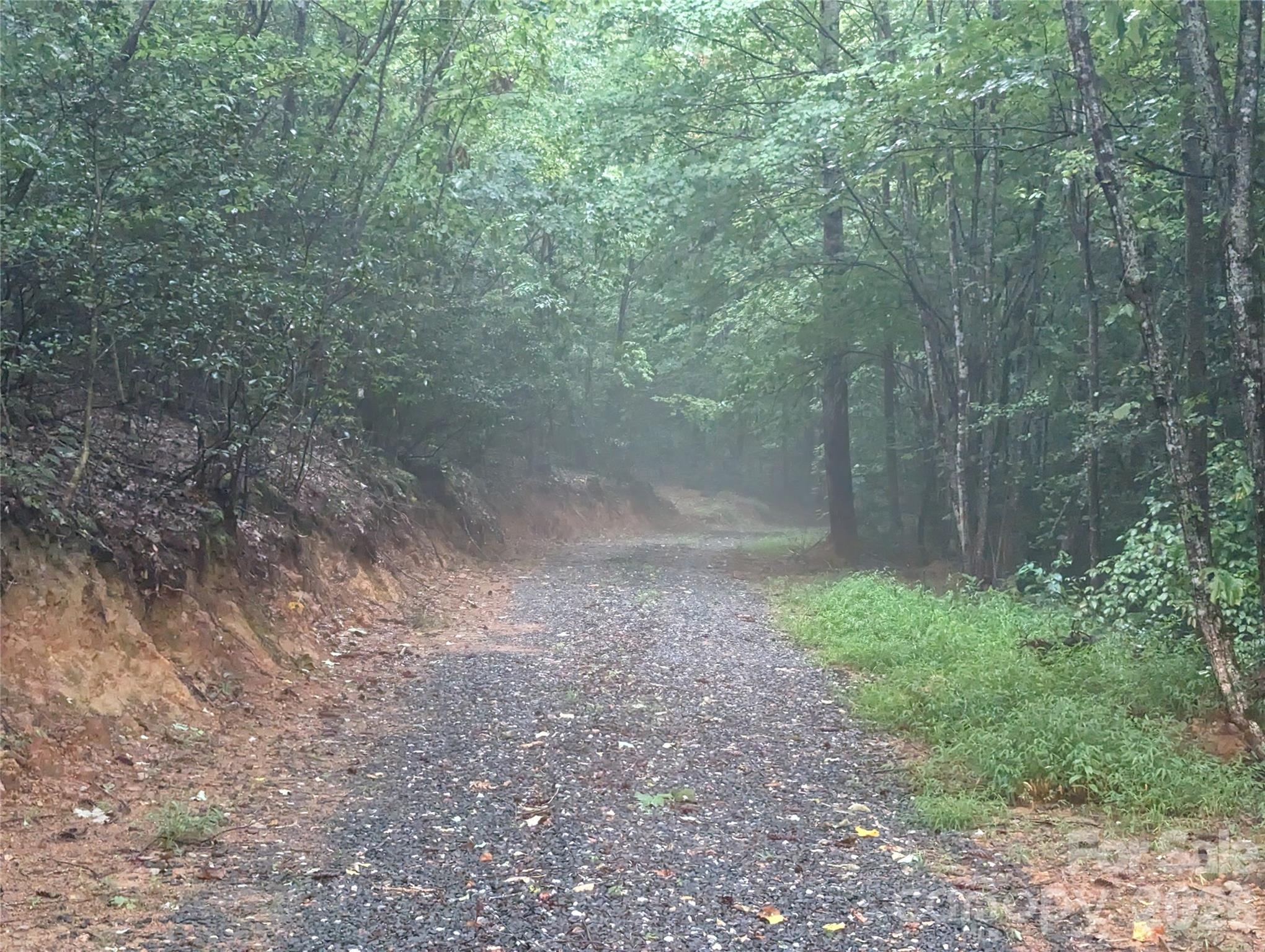Tbd Taylorsville Road Granite Falls, NC 28630 - Photo 11 of 17 a view of a yard with a trees