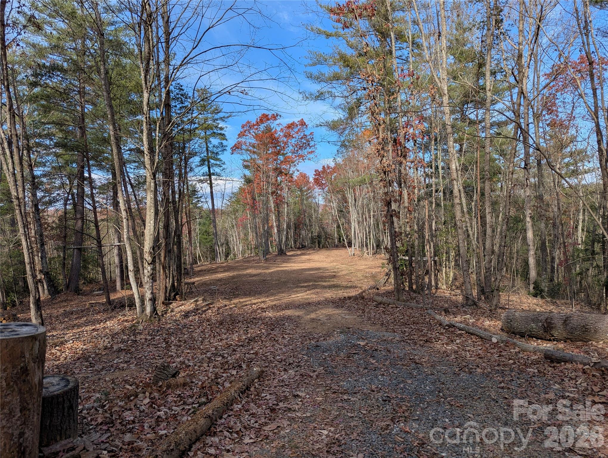 Tbd Taylorsville Road Granite Falls, NC 28630 - Photo 13 of 17 a view of a yard with tree s