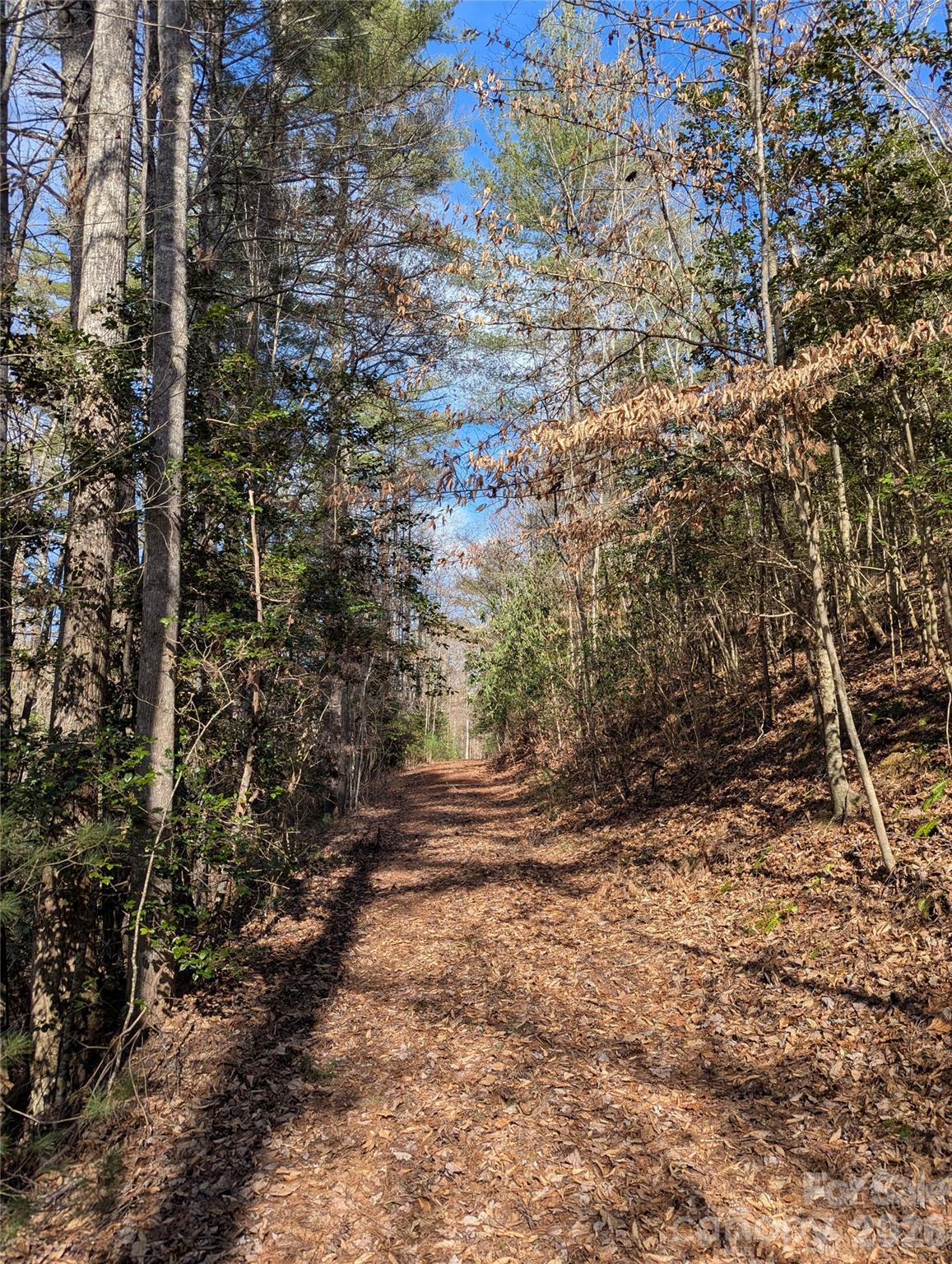 Tbd Taylorsville Road Granite Falls, NC 28630 - Photo 14 of 17 a view of a yard with trees