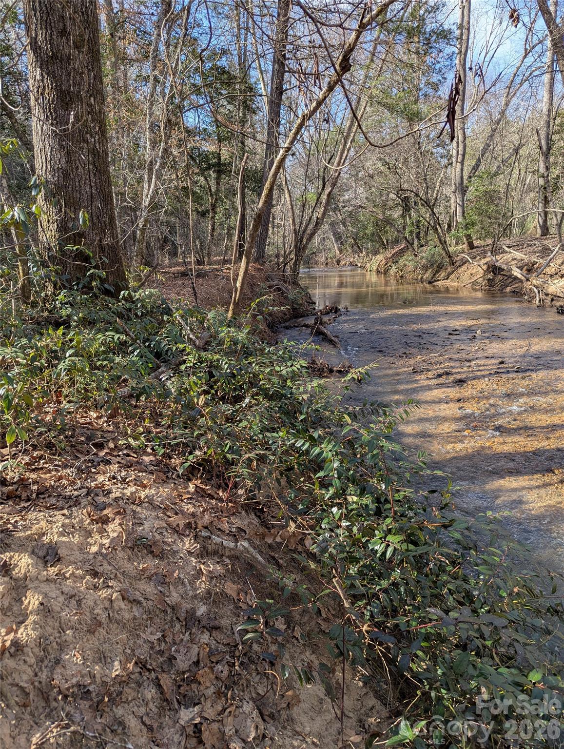 Tbd Taylorsville Road Granite Falls, NC 28630 - Photo 15 of 17 a view of a yard with plants and trees