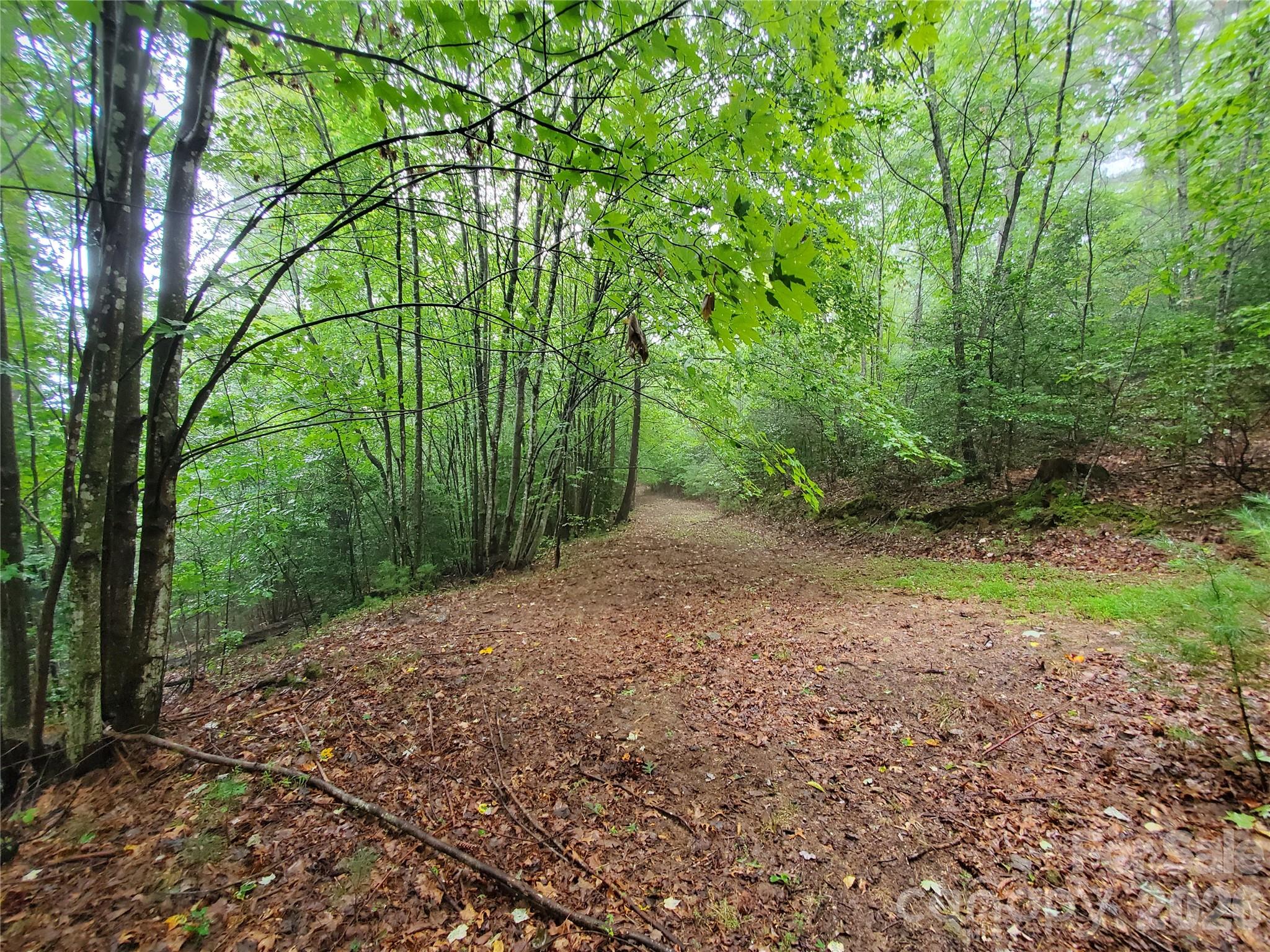 Tbd Taylorsville Road Granite Falls, NC 28630 - Photo 2 of 17 a view of a yard with plants and large trees