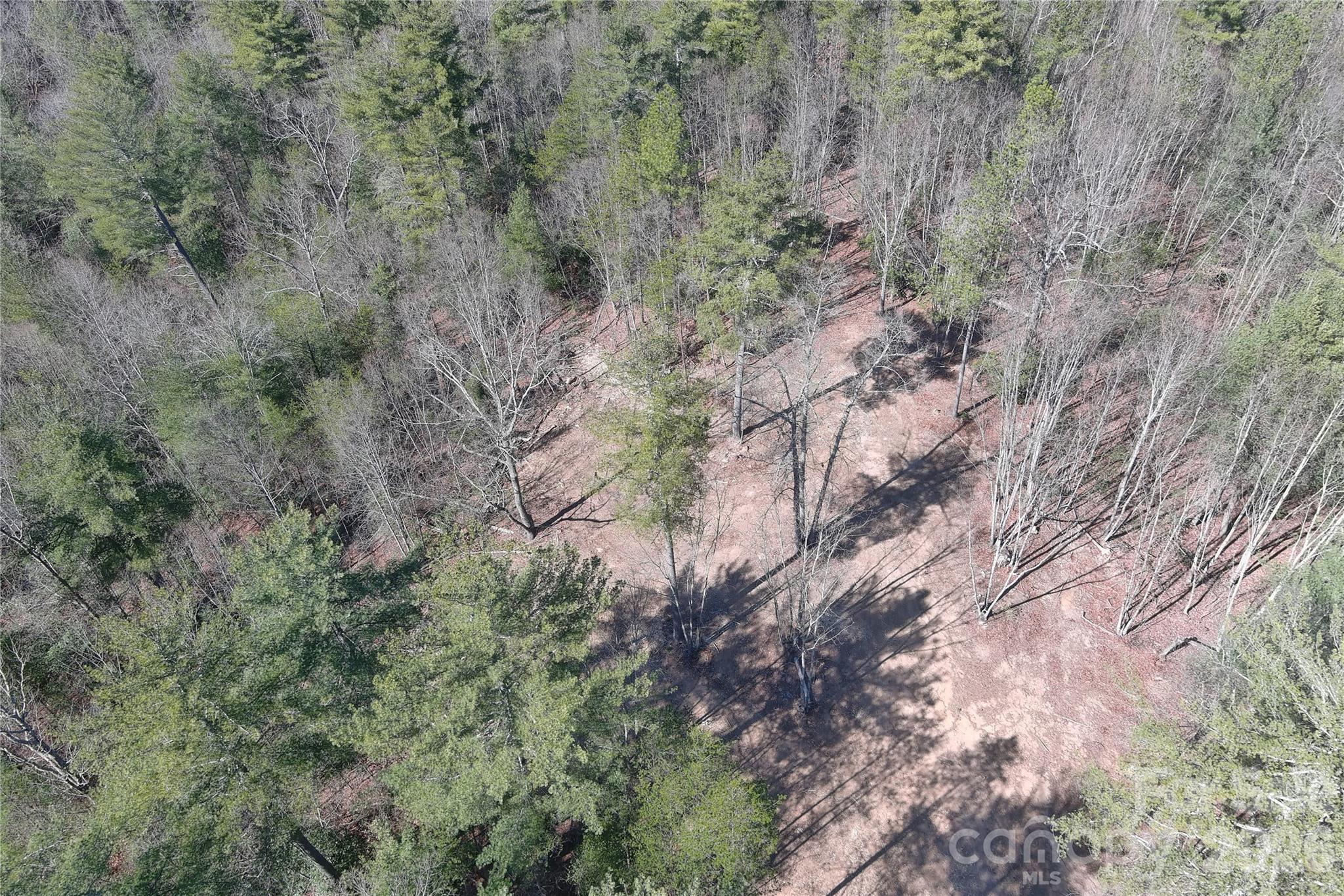 Tbd Taylorsville Road Granite Falls, NC 28630 - Photo 3 of 17 a view of a forest with lots of trees