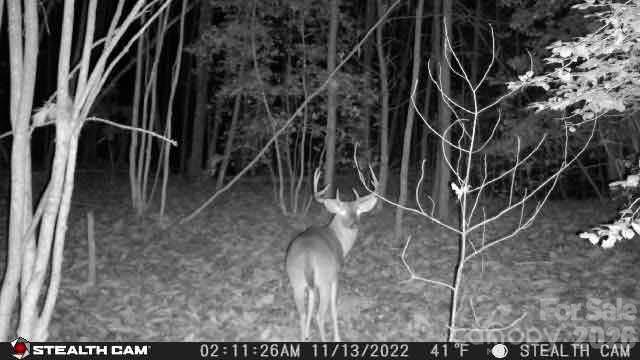 Tbd Taylorsville Road Granite Falls, NC 28630 - Photo 4 of 17