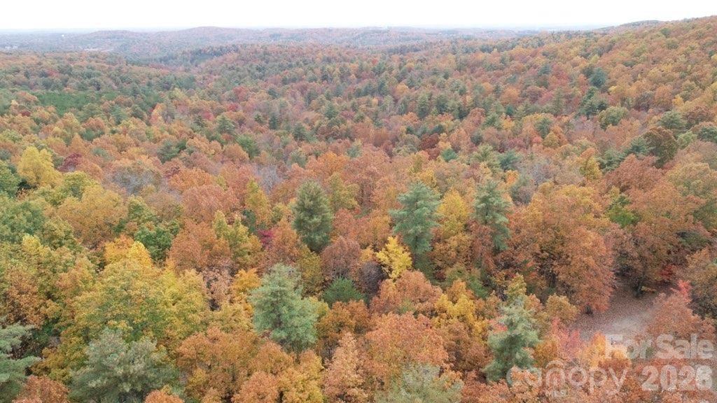 Tbd Taylorsville Road Granite Falls, NC 28630 - Photo 5 of 17 a view of a forest with trees in the background