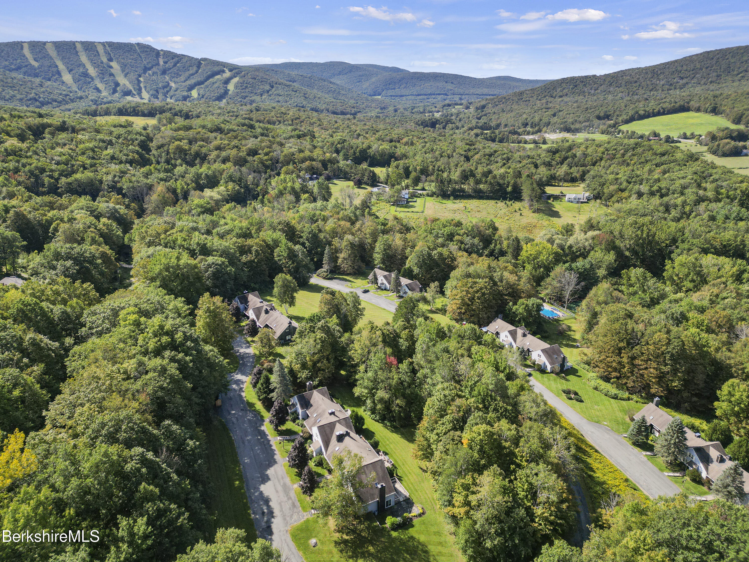a view of a city with lush green forest