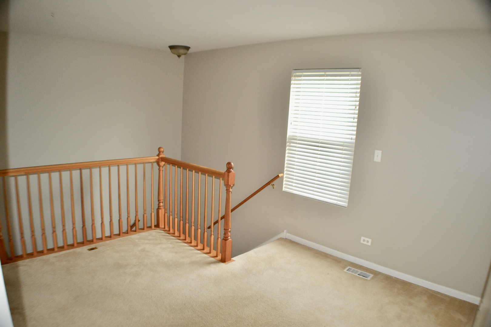249 Springbrook Trail South Oswego, IL 60543 - Photo 17 of 40