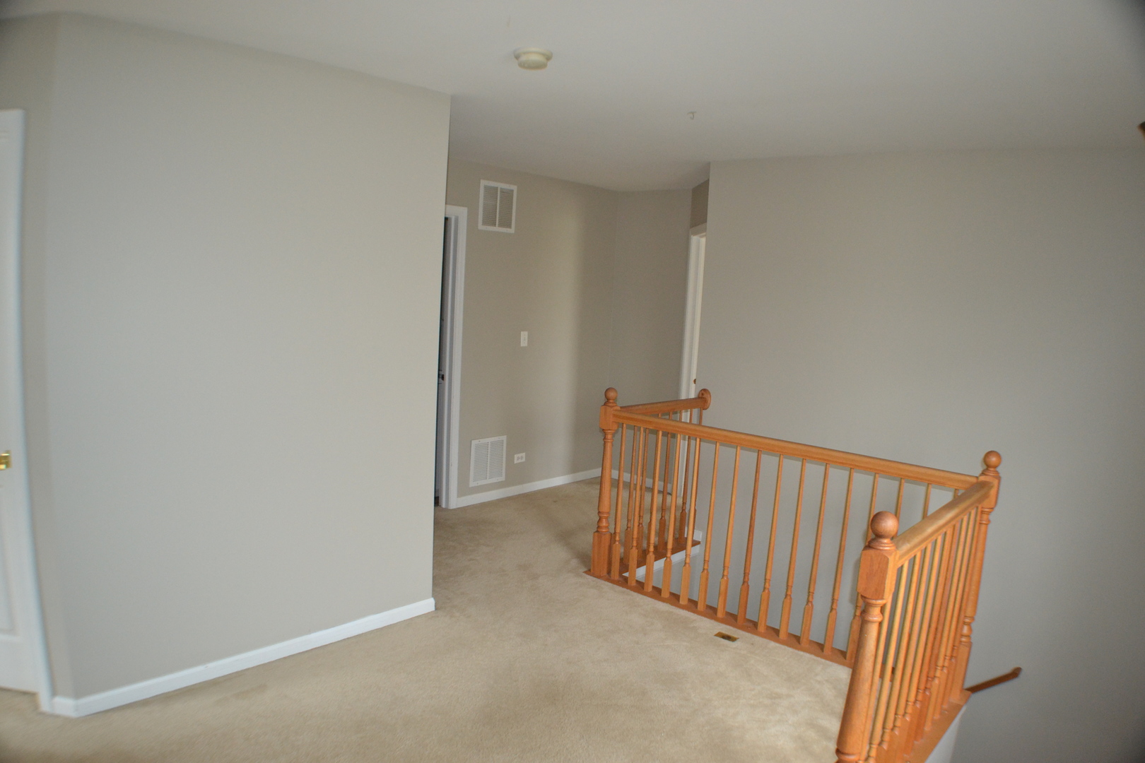 249 Springbrook Trail South Oswego, IL 60543 - Photo 18 of 40
