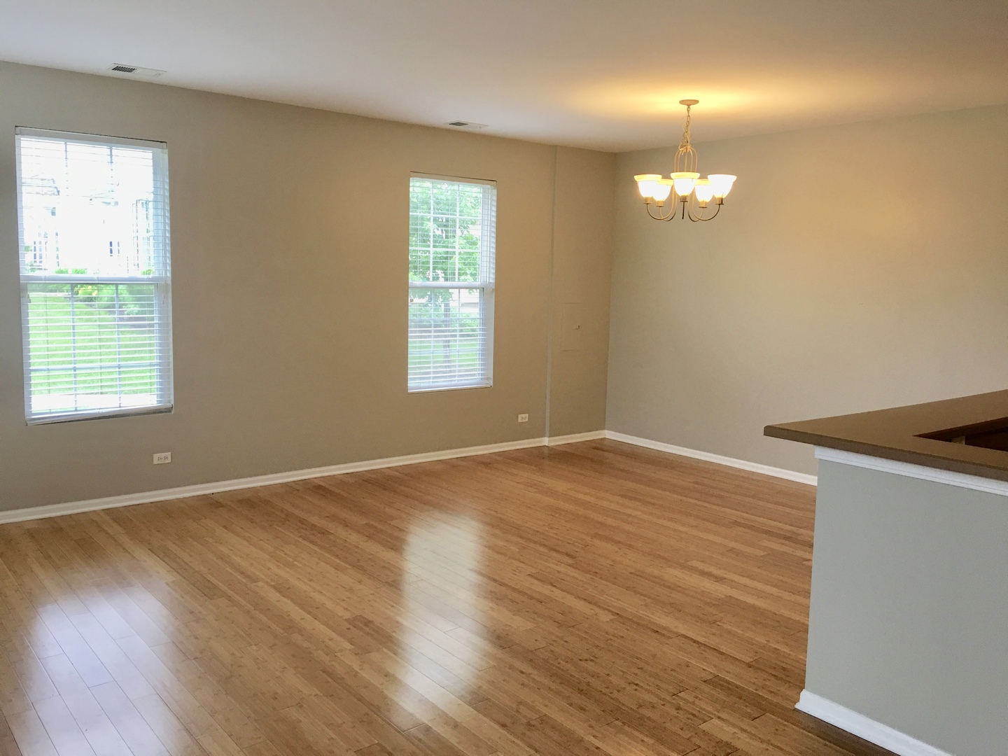 249 Springbrook Trail South Oswego, IL 60543 - Photo 4 of 40